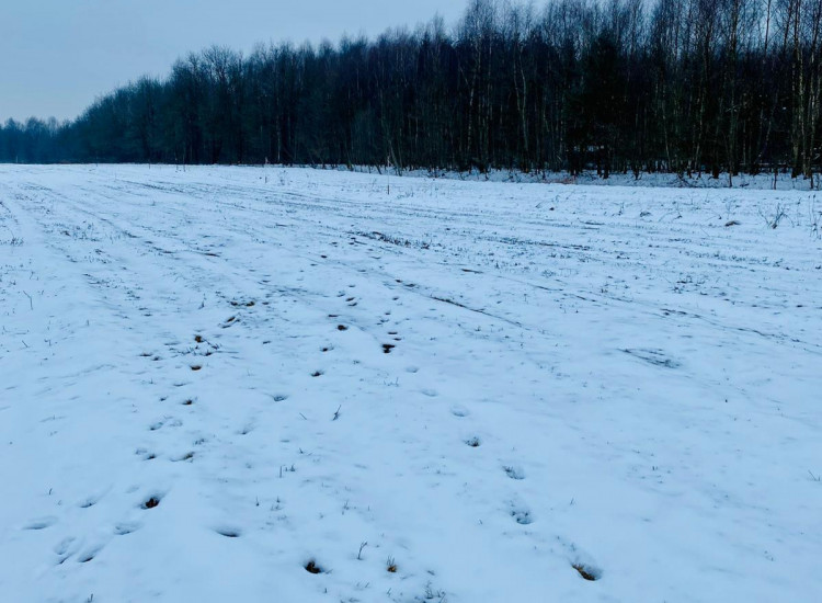 Działka Wola Rzędzińska Wola Rzędzińska