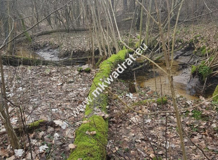 ⭐⭐⭐⭐2500 m2 urokliwa działka przy lesie z MPZP⭐⭐⭐⭐ Bieniewiec