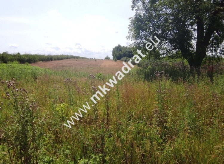 ⭐⭐⭐⭐ Okazja Działka 19000m2 z warunkami zabud!⭐⭐⭐⭐ Wola Pękoszewska