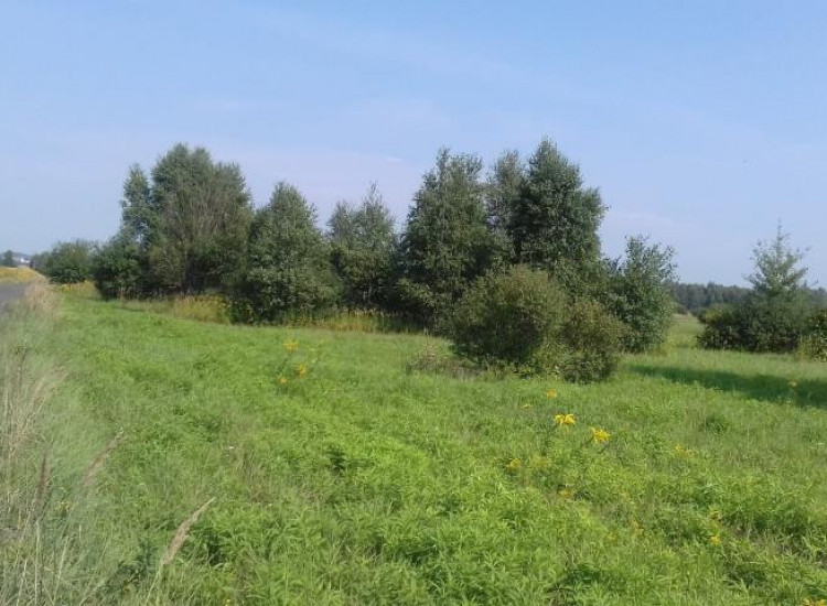 Działka Niegowoniczki Niegowoniczki