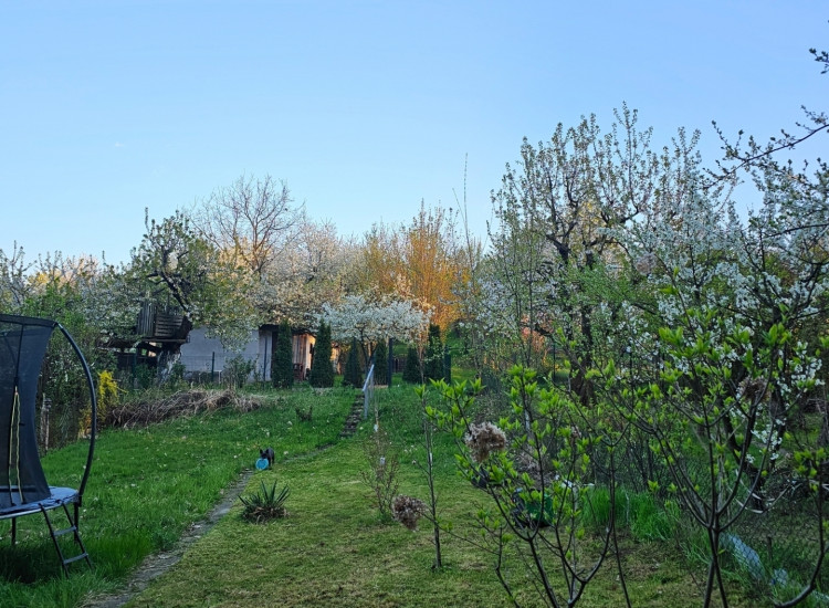 Działka ROD Trzebnica Trzebnica