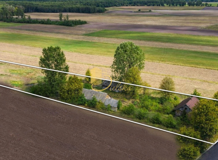 Stare siedlisko w Kozłowie  70/5000m2 Kozłowo