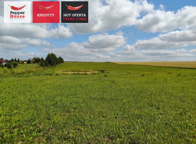 Działka Stegny ul.   Stegny