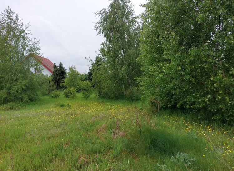 Działka budowlana Osiek Maly wielkopoksja Osiek Mały