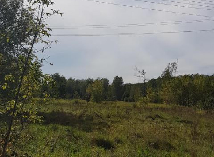 Działka Łomianki Łomianki