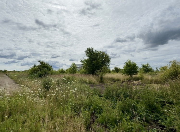 Wołczkowo | 805 m² | MPZP | Badania gruntu | Wołczkowo