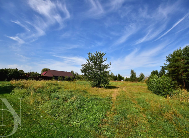 Działka Narew Narew