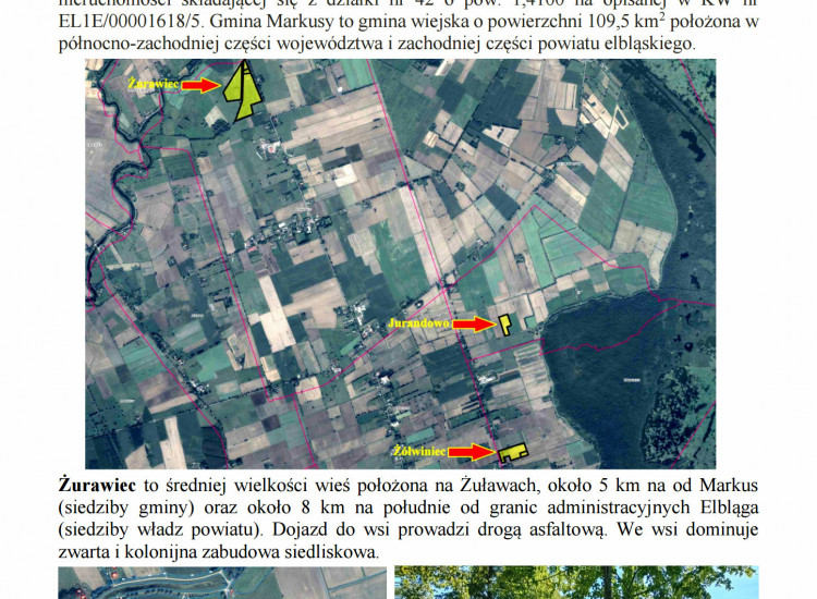 Syndyk sprzeda udziały w grunatach Żurawiec, Żółwiniec, Jurandowo Jurandowo