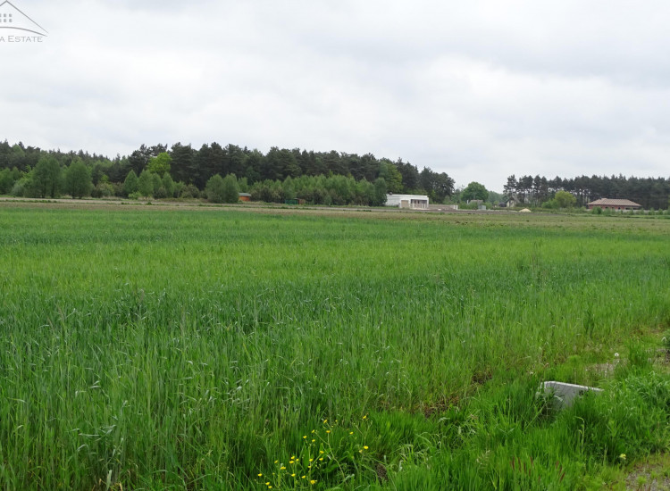 Działka Kuźnica Kuźnica