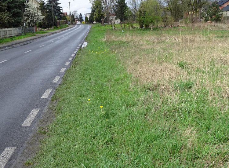 Działka Skarszew Skarszew