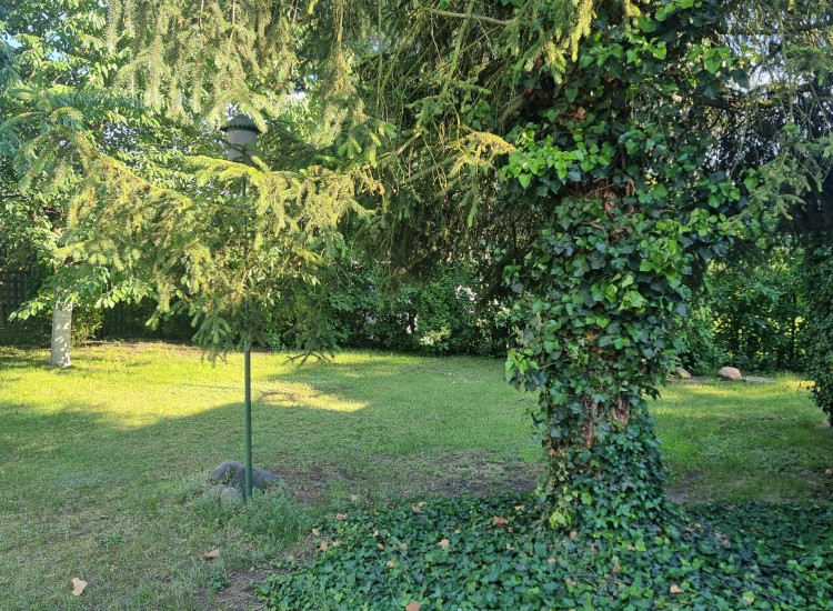 Działka Mirków Mirków