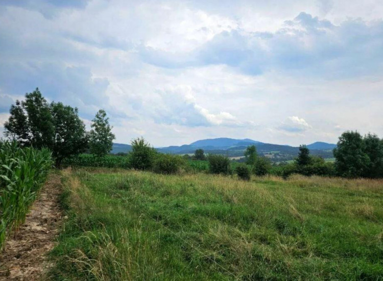 Działka Puńców Puńców