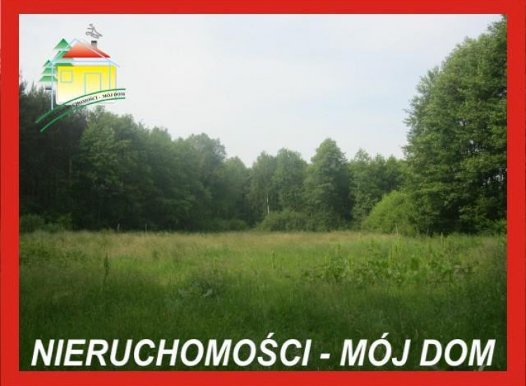 Działka Popielarnia Popielarnia