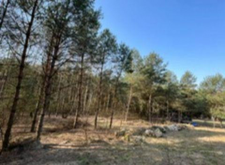 Działka Badów Górny Badów Górny