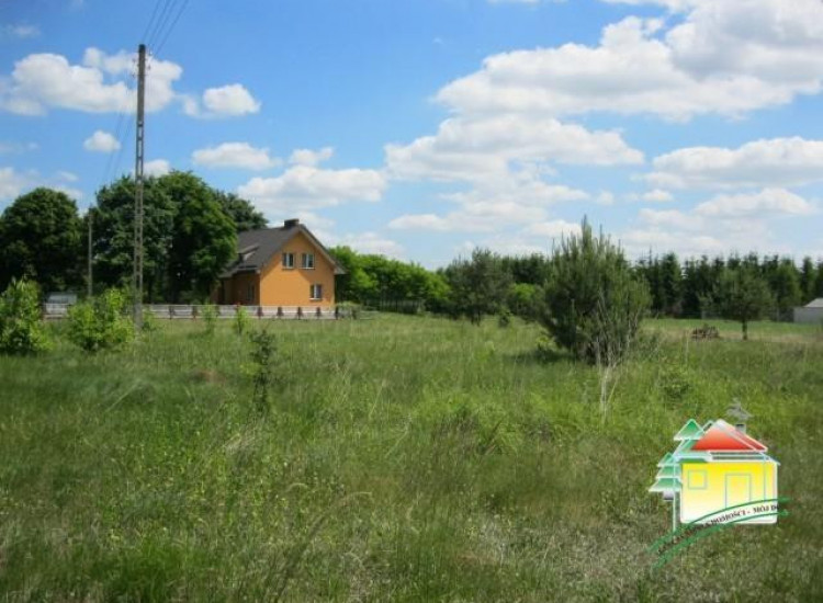 Działka Gąba Gąba