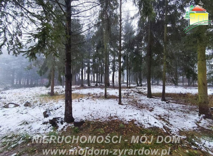 Działka Kuranów Kuranów