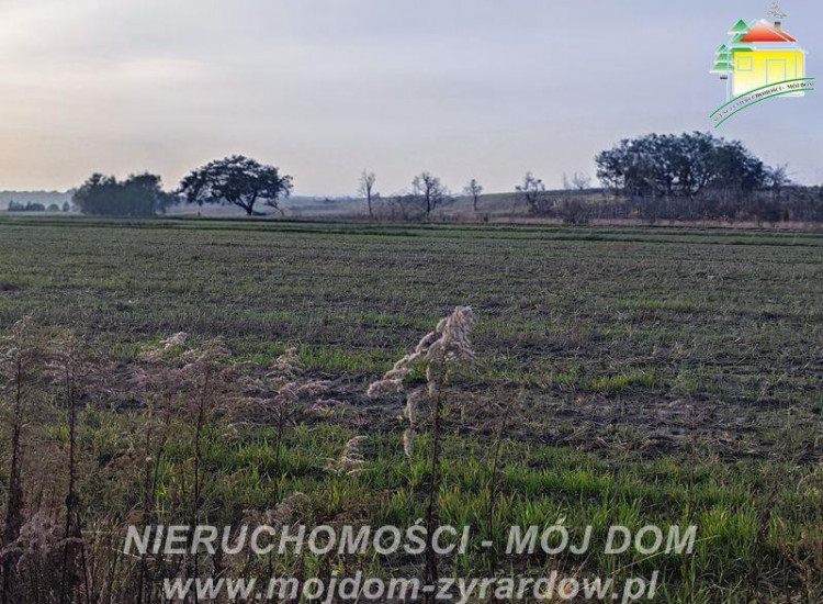 Działka Korytów Korytów