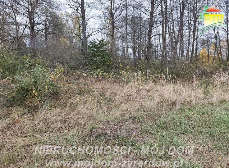 Działka Radziwiłłów Radziwiłłów