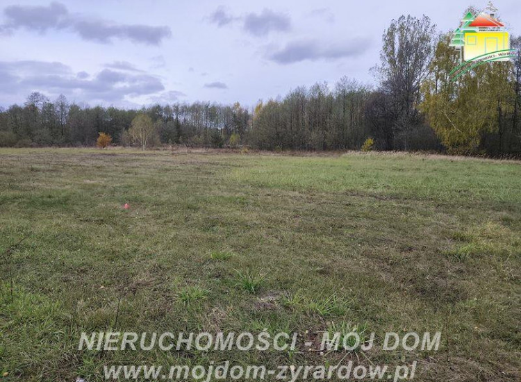 Działka Radziwiłłów Radziwiłłów