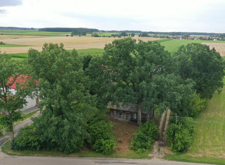 Działka Jabłonka-Świerczewo Jabłonka-Świerczewo