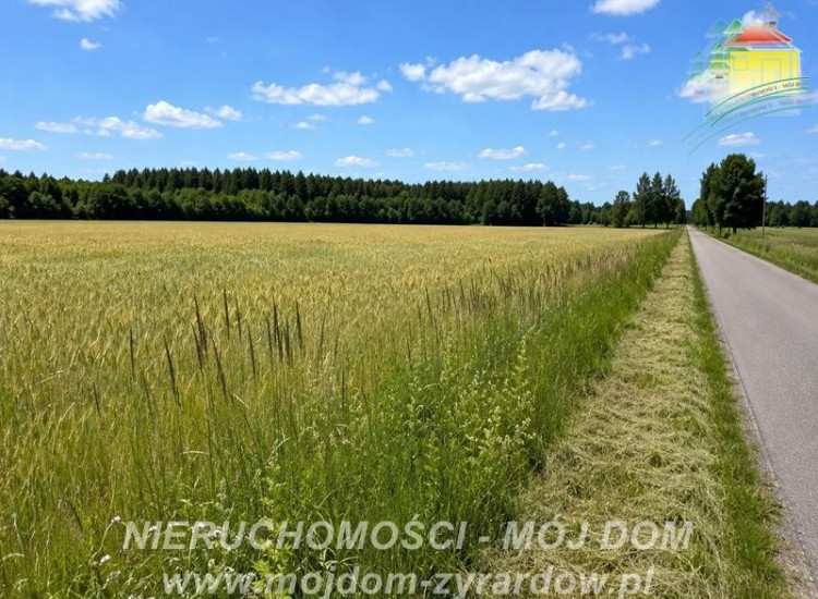 Działka Studzieniec Studzieniec