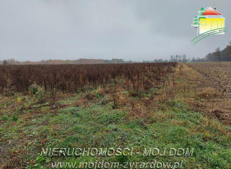 Działka Miedniewice Miedniewice