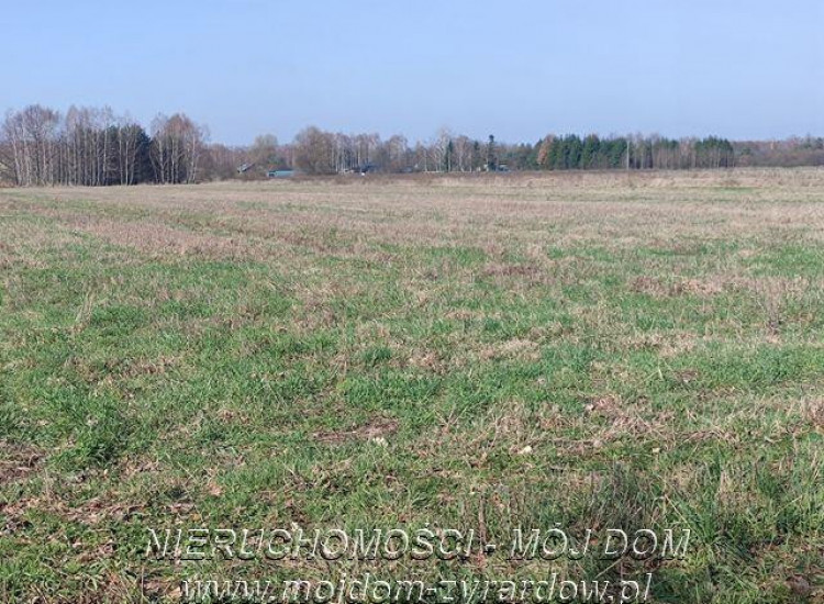 Działka Studzieniec Studzieniec