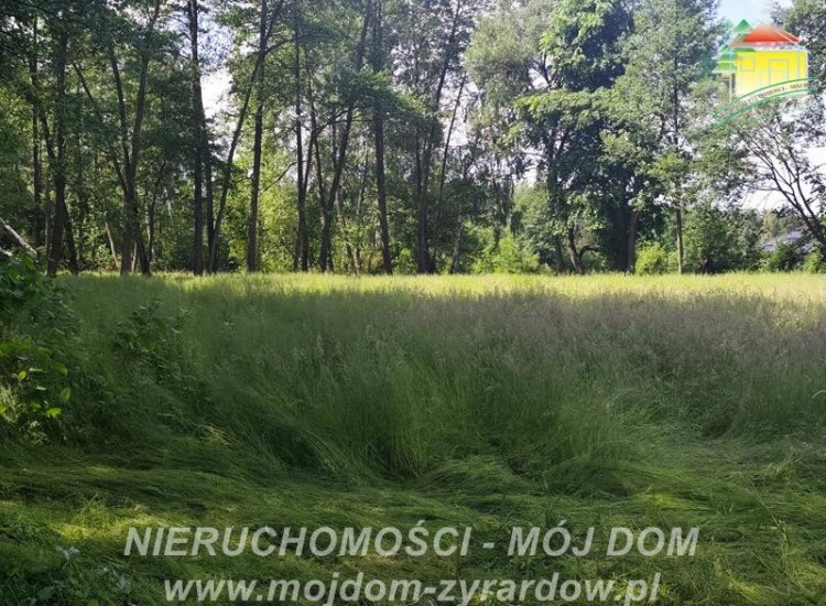 Działka Adamów-Wieś Adamów-Wieś