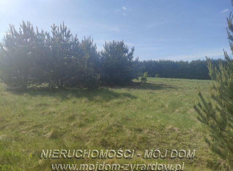 Działka Nowe Kozłowice Nowe Kozłowice