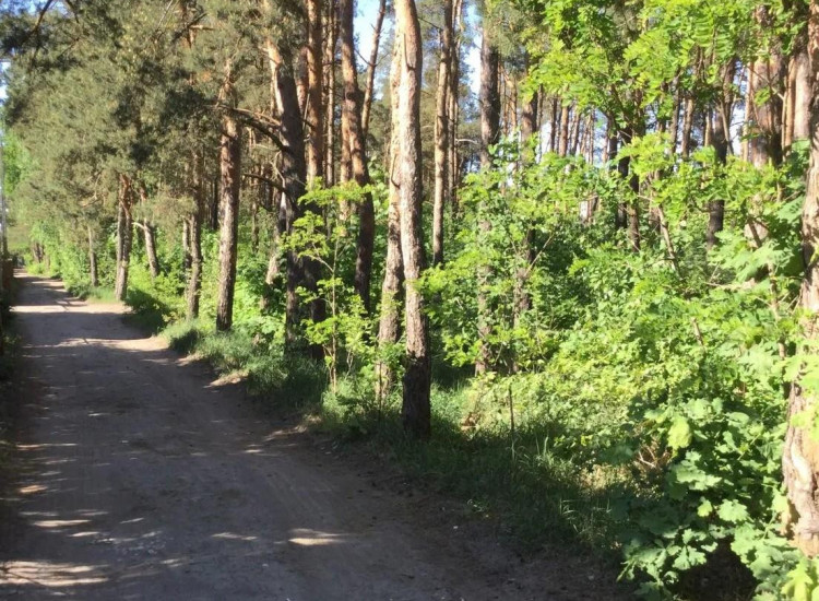 Działka Warszawa Wawer, Międzylesie Warszawa