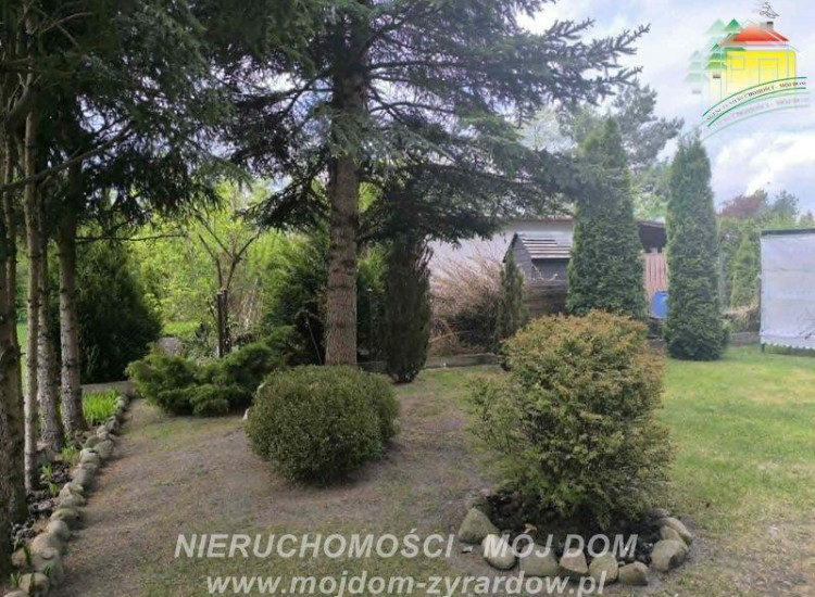 Działka Korytów Korytów