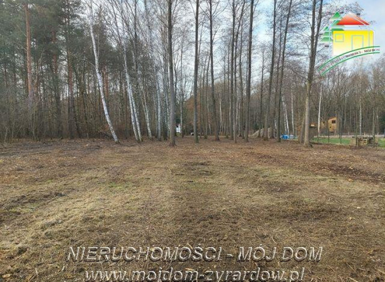 Działka Adamów-Wieś Adamów-Wieś
