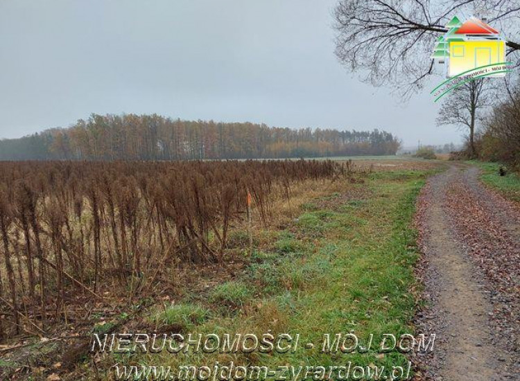 Działka Miedniewice Miedniewice