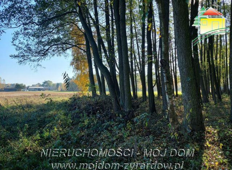 Działka Radziwiłłów Radziwiłłów