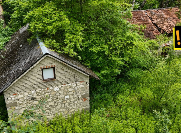 Dom Górnowola ul.   Górnowola