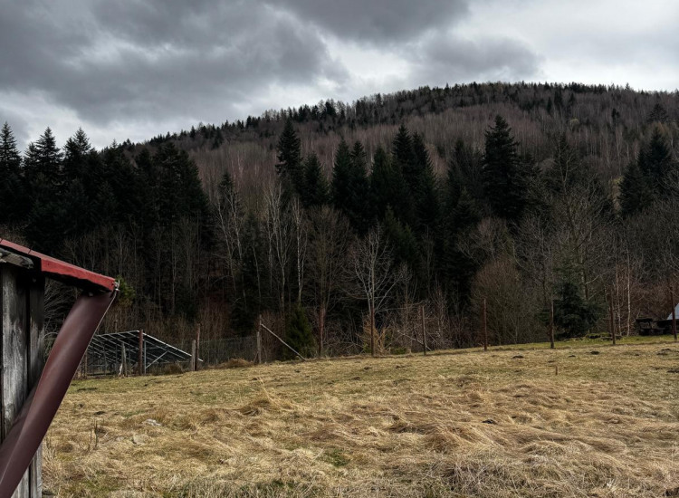 Działka Zawoja Zawoja