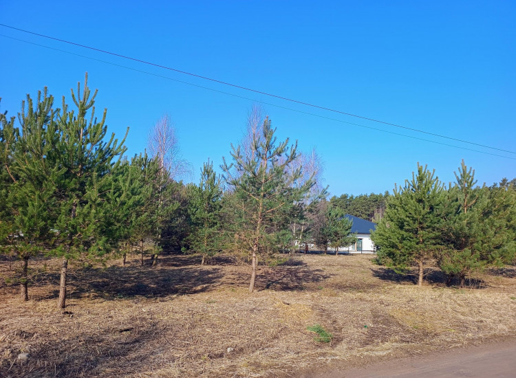 Działka Ruda-Bugaj Ruda-Bugaj
