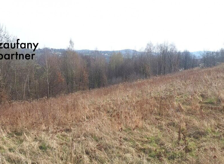 Działka Gorzków Gorzków