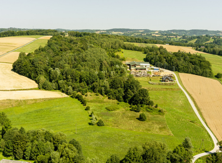 Działki o łącznej powirzchni 4,25 ha Joniny Joniny