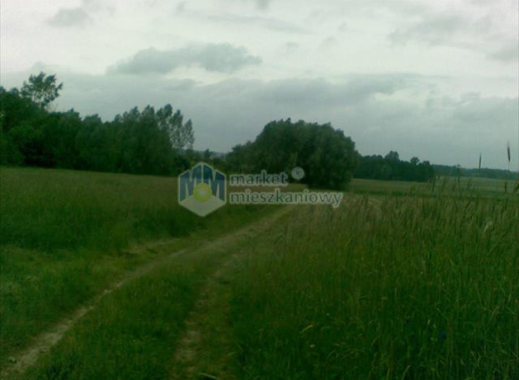 Działka Nowe Radzikowo Nowe Radzikowo
