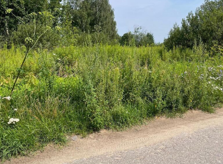 Na sprzedaż działka budowlana – 2261 m², Radzymin. Radzymin