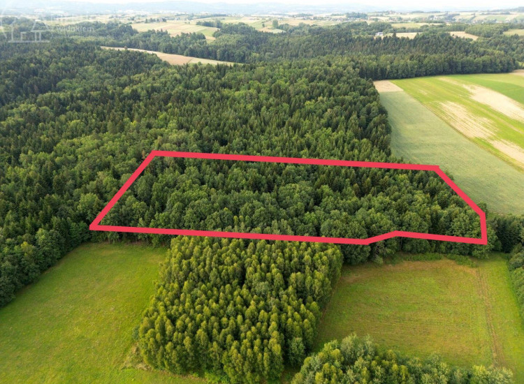 Działka Sitnica Sitnica