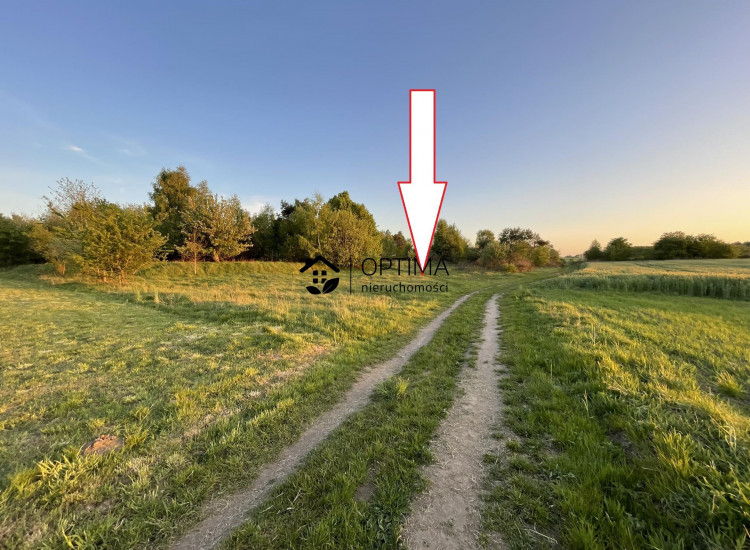 Działka Dąbrowa Dąbrowa