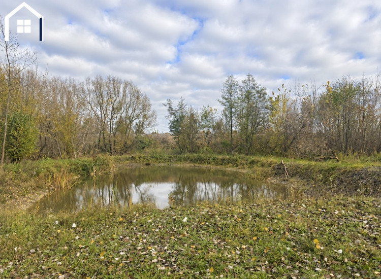 Działka 4219 m² | Własny staw | Media | 320 000 zł Nasielsk