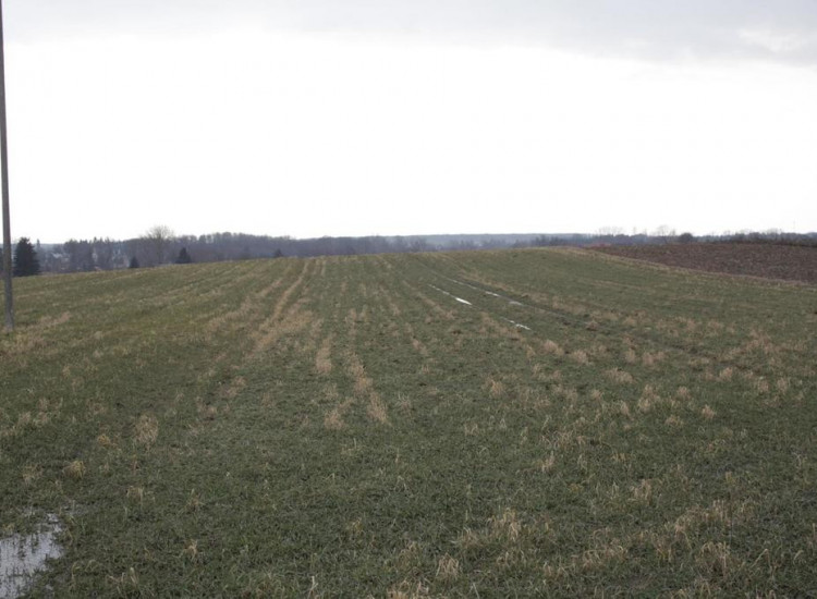 Cicha działka Tomaszowice Tomaszowice