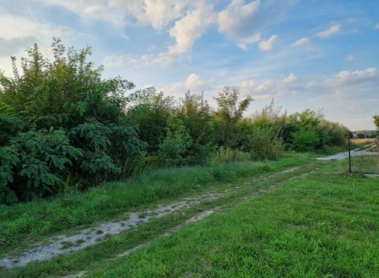 Działka Zaborówek Zaborówek