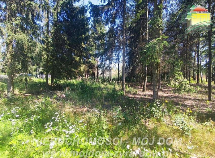 Działka Kuranów Kuranów