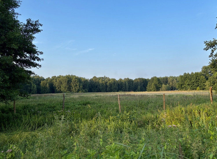 Działka rolna 9 846 m² przy lesie | Tanowo Tanowo