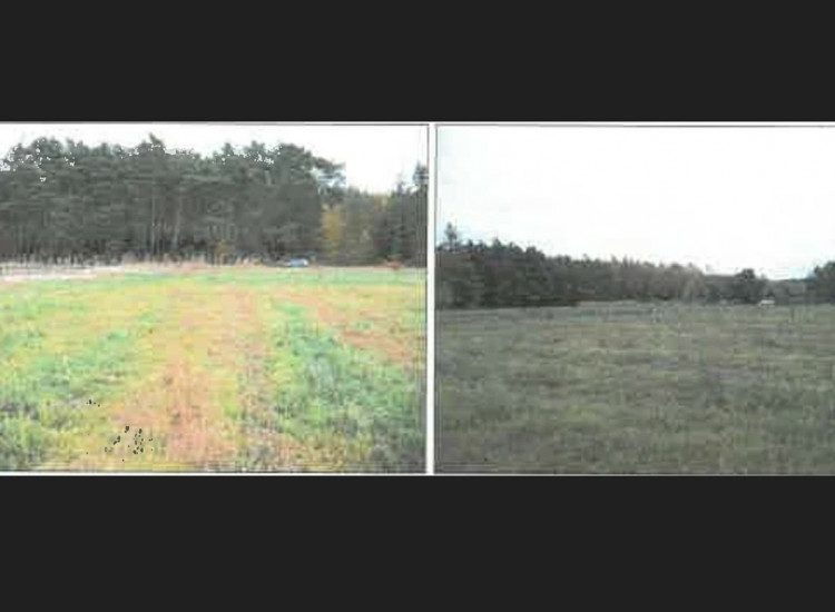 Działka, 4 999 m², Słonów Słonów