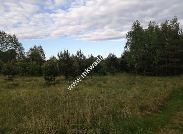 Działka budowlana 1861 m², MPZP, prostokąt 27x70 m Budy Zaklasztorne